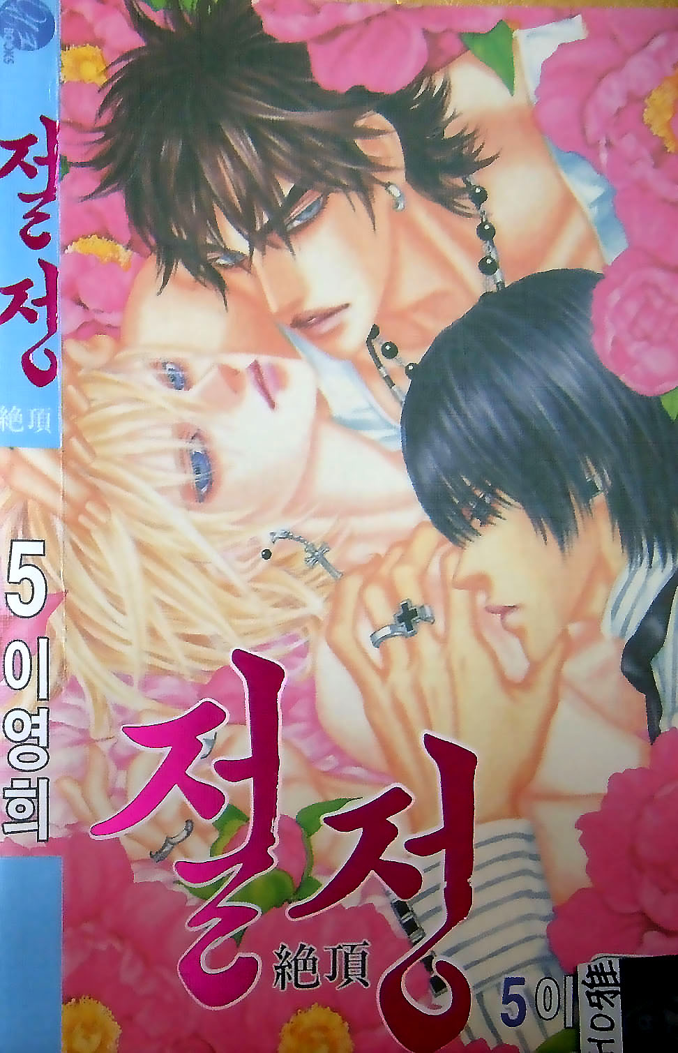 The Summit cover.jpg -  